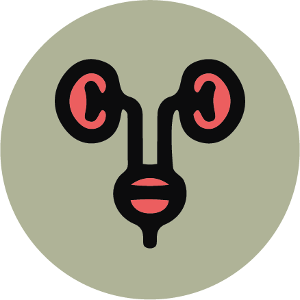 UROLOGIA