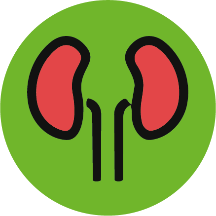 NEFROLOGIA