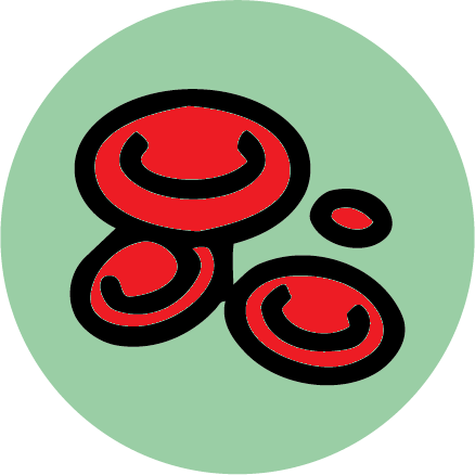 HEMATOLOGÍA